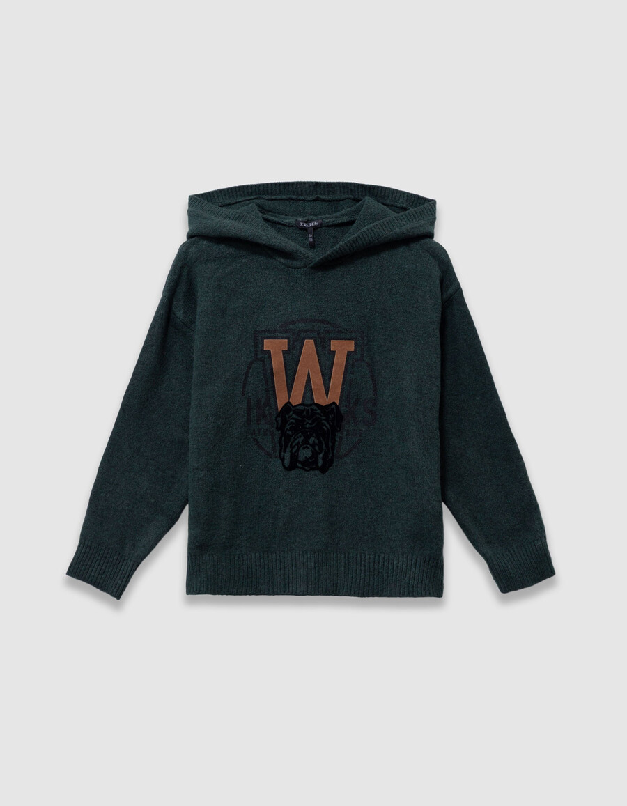 sudadera de punto verde con imagen de perro para niño