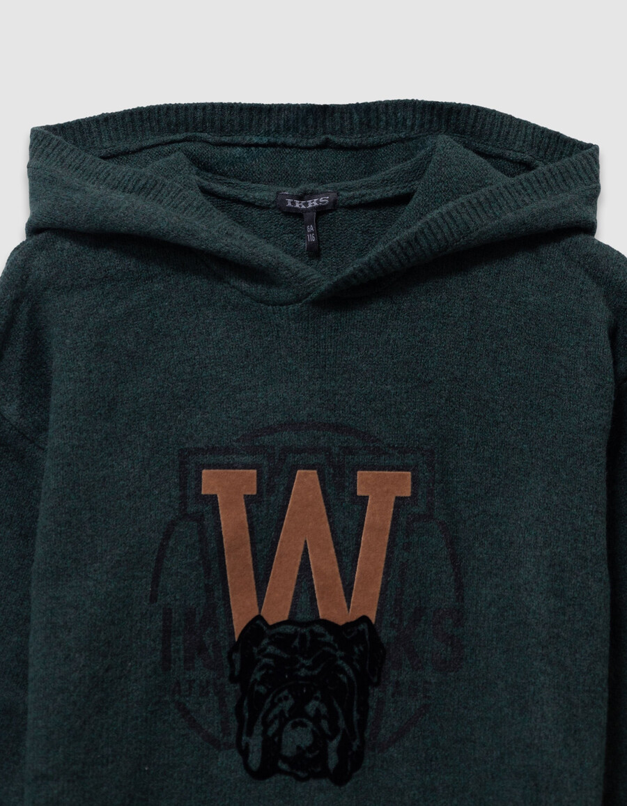 sudadera de punto verde con imagen de perro para niño