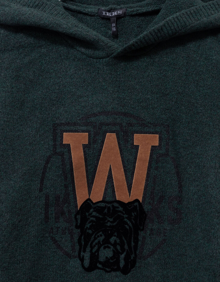 sudadera de punto verde con imagen de perro para niño