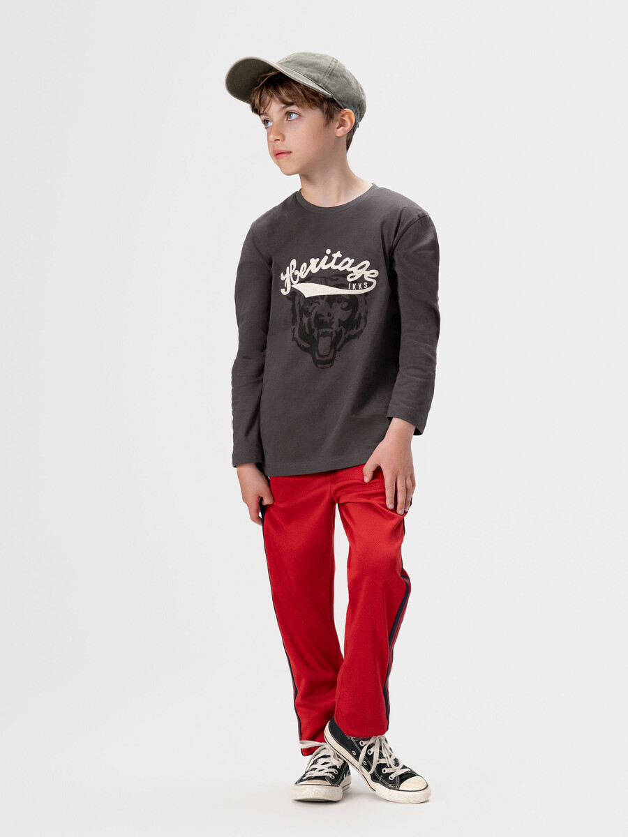 camiseta gris para niño con eslogan bordado e imagen de oso