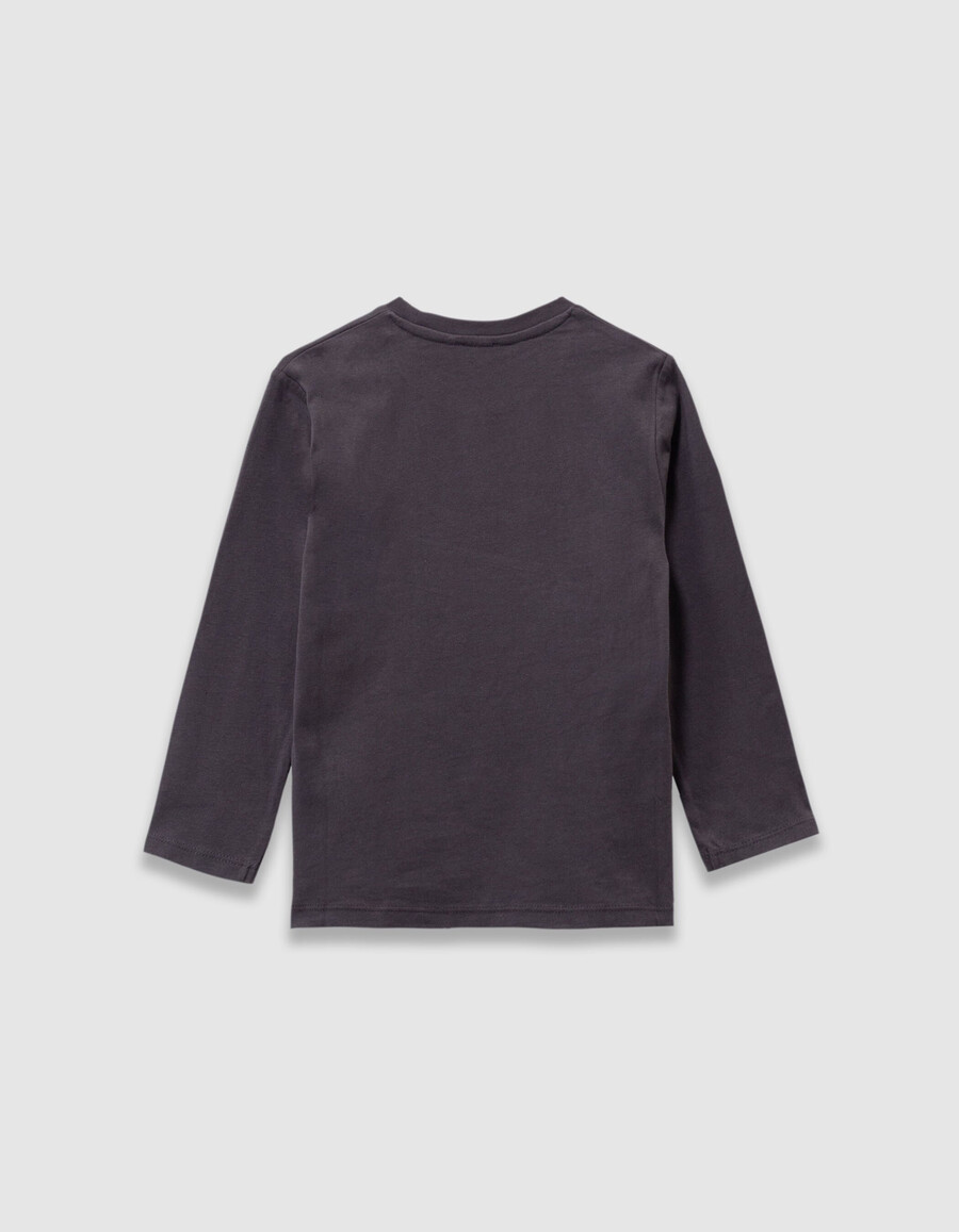 camiseta gris para niño con eslogan bordado e imagen de oso